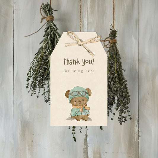 Adorable Teddy Bear Aviator Gift Tags - Personalisable